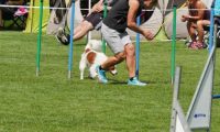 IMG_moosen-10-06-2017-K3L-mini045