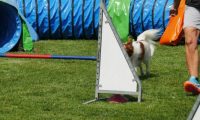 IMG_moosen-10-06-2017-K3L-mini049