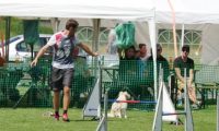 IMG_moosen-10-06-2017-K3L-mini053