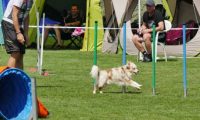 IMG_moosen-10-06-2017-K3L-mini055