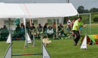 IMG_moosen-10-06-2017-K3L-mini064