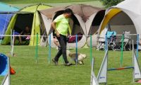 IMG_moosen-10-06-2017-K3L-mini065