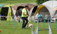 IMG_moosen-10-06-2017-K3L-mini066
