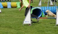 IMG_moosen-10-06-2017-K3L-mini069