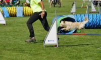 IMG_moosen-10-06-2017-K3L-mini070