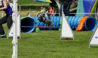 IMG_moosen-10-06-2017-K3L-mini073