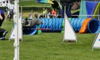 IMG_moosen-10-06-2017-K3L-mini074