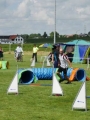 IMG_moosen-10-06-2017-K3L-mini001 - Kopie IMG_moosen-10-06-2017-K3L-mini001 - Kopie