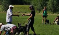IMG_Moosen_11-06-2017021