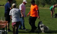 IMG_Moosen_11-06-2017032