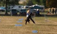IMG_Ro-BM2018-003