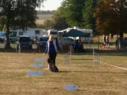 IMG_Ro-BM2018-005