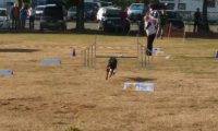 IMG_Ro-BM2018-013
