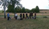 IMG_Ro-BM2018-020