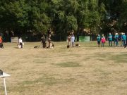 IMG_Ro-BM2018-027