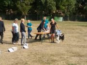IMG_Ro-BM2018-037