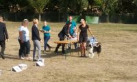 IMG_Ro-BM2018-037