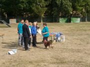 IMG_Ro-BM2018-043