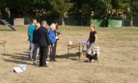 IMG_Ro-BM2018-044