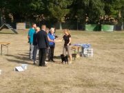 IMG_Ro-BM2018-045