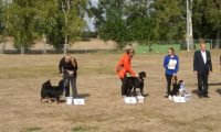 IMG_Ro-BM2018-049