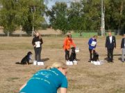 IMG_Ro-BM2018-050