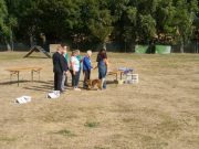 IMG_Ro-BM2018-052
