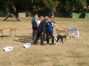 IMG_Ro-BM2018-053