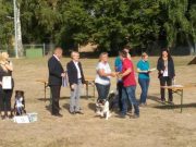 IMG_Ro-BM2018-059