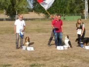 IMG_Ro-BM2018-061