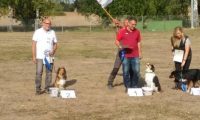 IMG_Ro-BM2018-061