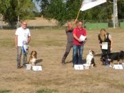 IMG_Ro-BM2018-062