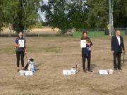 IMG_Ro-BM2018-085