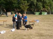 IMG_Ro-BM2018-091