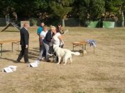 IMG_Ro-BM2018-094