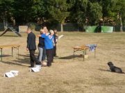 IMG_Ro-BM2018-102