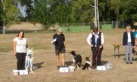 IMG_Ro-BM2018-117