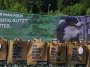 IMG_Ro_tunier_siegerehrung-17-06-2017-006