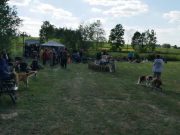 IMG_Ro_tunier_siegerehrung-17-06-2017-015