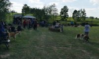 IMG_Ro_tunier_siegerehrung-17-06-2017-015
