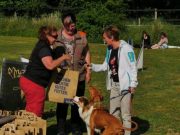 IMG_Ro_tunier_siegerehrung-17-06-2017-031
