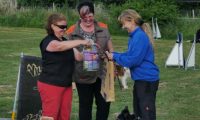 IMG_Ro_tunier_siegerehrung-17-06-2017-034