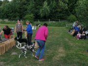 IMG_Ro_tunier_siegerehrung-17-06-2017-035