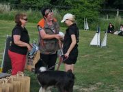 IMG_Ro_tunier_siegerehrung-17-06-2017-036