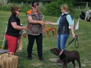 IMG_Ro_tunier_siegerehrung-17-06-2017-039