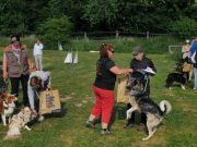 IMG_Ro_tunier_siegerehrung-17-06-2017-044