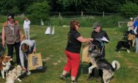 IMG_Ro_tunier_siegerehrung-17-06-2017-044