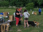 IMG_Ro_tunier_siegerehrung-17-06-2017-052