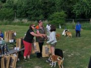 IMG_Ro_tunier_siegerehrung-17-06-2017-053