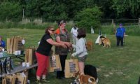 IMG_Ro_tunier_siegerehrung-17-06-2017-053